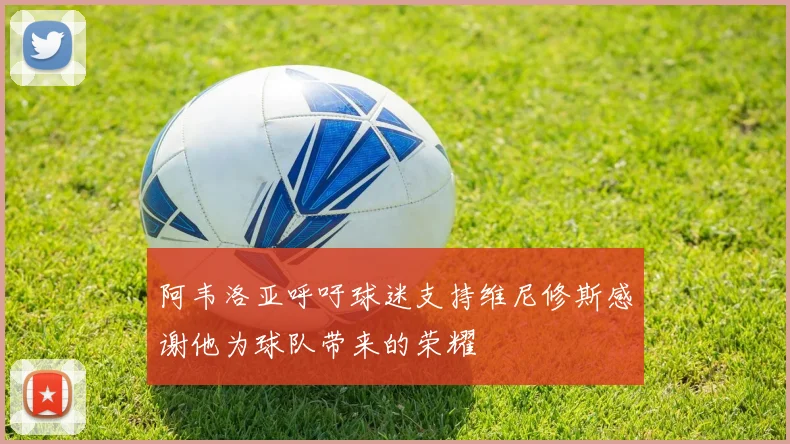 阿韦洛亚呼吁球迷支持维尼修斯感谢他为球队带来的荣耀